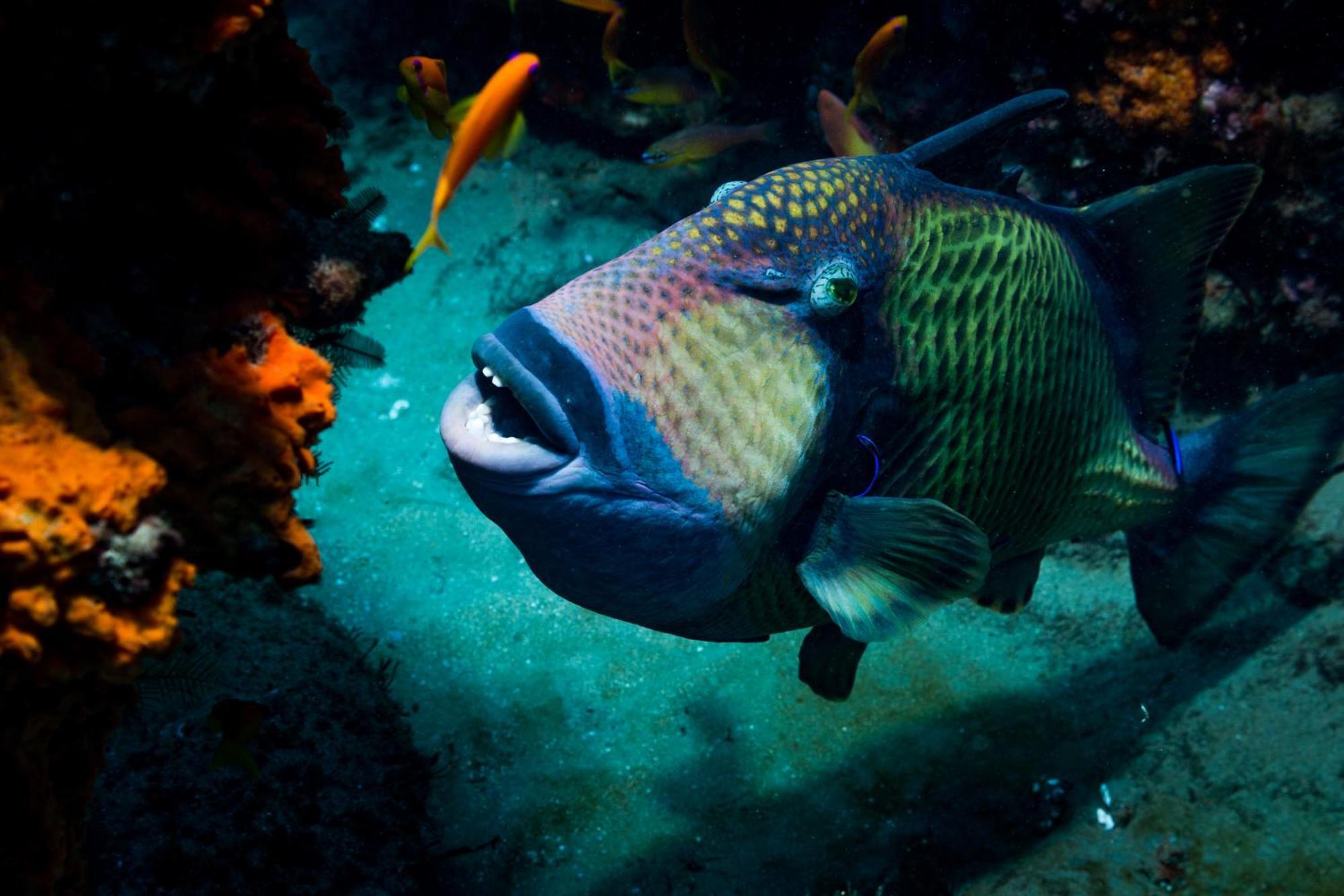 Sodwana Bay Lodge Dive & Fishing Resort Exterior photo